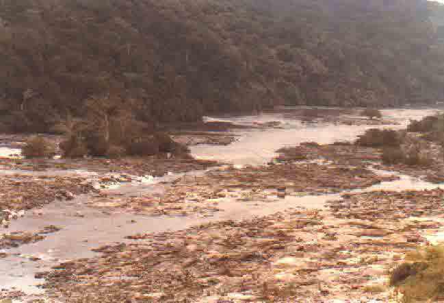 Chutes d'Ivindo