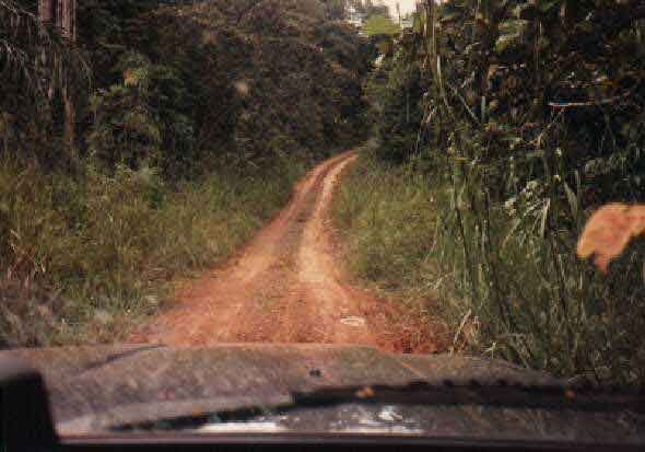 Et on reprend le chemin du retour