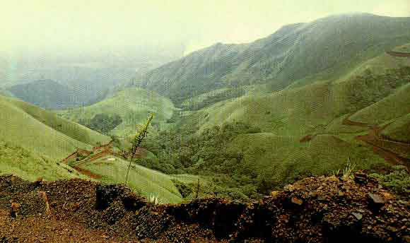 Le Mont Nimba